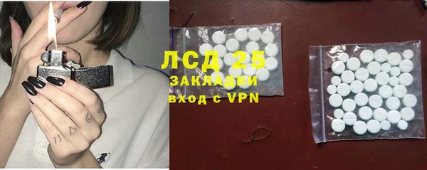 экстази Бородино