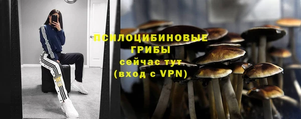 экстази Бородино